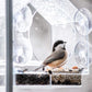 BirdFeeder™ | Vogelhuisje voor Raam
